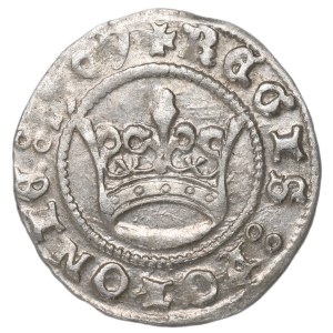 Zygmunt I Stary, Półgrosz 1509, Kraków