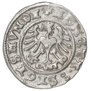 Zygmunt I Stary, Półgrosz 1509, Kraków