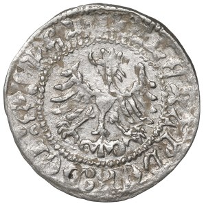 Aleksander Jagiellończyk, Halbgroschen ohne Datum, Krakau