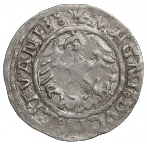 Sigismund I the Old, Halfgroat 1521, Vilnius