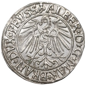 Prusy Książęce, Albrecht Hohenzollern, Grosz 1543, Królewiec