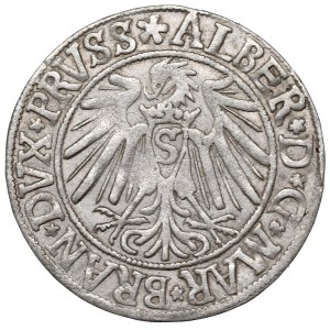 Prusy Książęce, Albrecht Hohenzollern, Grosz 1540, Królewiec