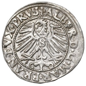 Germany, Preussen, Albrecht Hohenzollern, Groschen 1548, Konigsberg