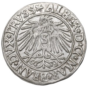 Prusy Książęce, Albreht Hohenzollern, Grosz 1538, Królewiec