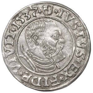 Prusy Książęce, Albrecht Hohenzollern, Grosz 1537, Królewiec