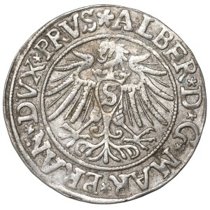 Prusy Książęce, Albrecht Hohenzollern, Grosz 1537, Królewiec