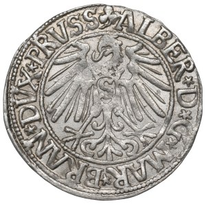 Prusy Książęce, Albrecht Hohenzollern, Grosz 1545, Królewiec