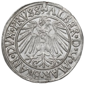 Prusy Książęce, Albrecht Hohenzollern, Grosz 1541, Królewiec