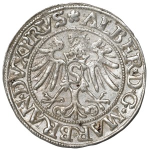 Prusy Książęce, Albrecht Hohenzollern, Grosz 1534, Królewiec