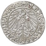 Prusy Książęce, Albrecht Hohenzollern, Grosz 1543, Królewiec