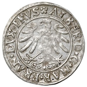 Prusy Książęce, Albrecht Hohenzollern, Grosz 1532, Królewiec