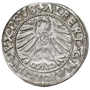 Prusy Książęce, Albrecht Hohenzollern, Grosz 1547, Królewiec