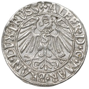 Germany, Preussen, Albrecht Hohenzollern, Groschen 1546, Konigsberg