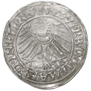 Schlesien, Herzogtum Legnica-Brzeg-Wołów, Groschen 1542