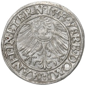 Schlesien, Duchy of Brieg-Leignitz-Wholau, Groschen 1543
