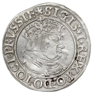 Sigismund I the Old, Groschen for Prussia 1534, Thorn
