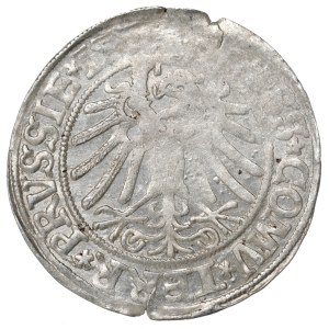 Sigismund I the Old, Prussian Groschen, Toruń - IMPRESSIVE DESTRUCTION