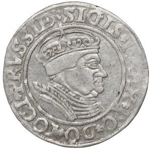 Sigismund I the Old, Groschen for Prussia 1534, Thorn