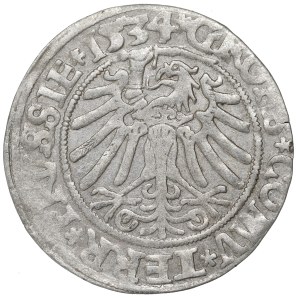 Sigismund I the Old, Groschen for Prussia 1534, Thorn