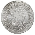 Sigismund I the Old, Groschen for Prussia 1534, Thorn