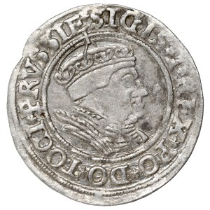 Zygmunt I Stary, Grosz dla ziem pruskich 1535, Toruń