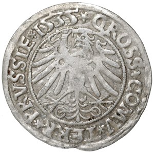 Zygmunt I Stary, Grosz dla ziem pruskich 1535, Toruń