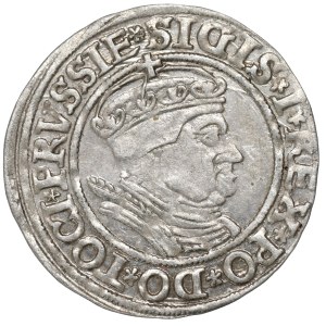Zygmunt I Stary, Grosz dla ziem pruskich 1535, Toruń