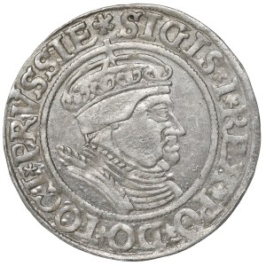Sigismund I the Old, Groschen for Prussia 1534, Thorn