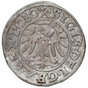 Sigismund I the Old, Solid 1539, Danzig