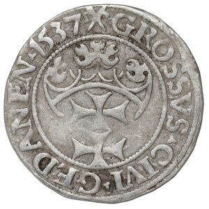 Sigismund I the Old, Groschen 1537, Danzig