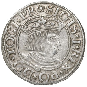Sigismund I, Groschen 1534, Danzig