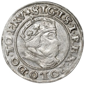 Sigismund I the Old, Groschen 1540, Danzig
