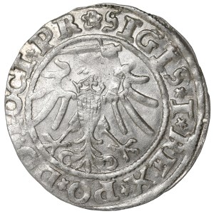 Sigismund I the Old, Groschen 1535, Elbing
