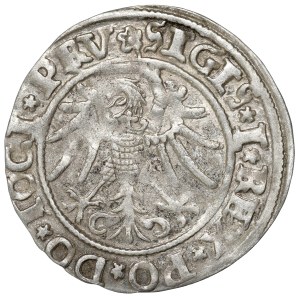 Sigismund I the Old, Groschen 1535, Elbing