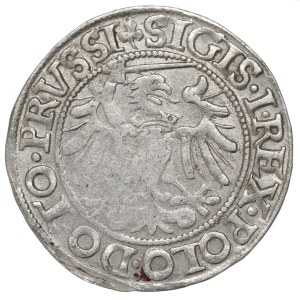 Sigismund I the Old, Groschen 1533, Danzig - NGC MS61