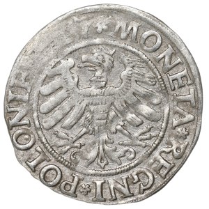 Sigismund I the Old, Groschen 1527, Cracow