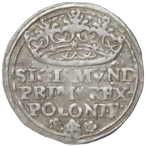 Zygmunt I. Starý, groš z roku 1529, Krakov