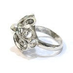 Adolf Horak, Designer Ring