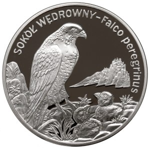 III RP, 20 złotych 2008 - Sokół wędrowny