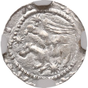 Vladislaus II, Denarius, Cracow - NGC MS61