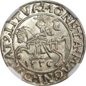 Sigismund II Augustus, Half-grosz 1556, Vilnius, LI/LITVA - NGC MS65