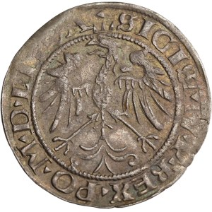 Sigismund I the Old, Grosz 1536, Vilnius, letter F (February) - very nice