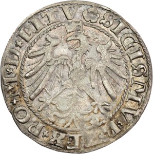 Sigismund I the Old, Grosz 1536, Vilnius, letter I (June) - very nice