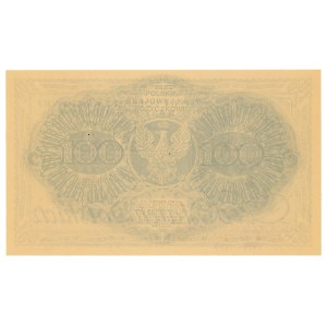 II RP, 100 Marek Polskich 1919 AH - reprodukcja w etui NBP