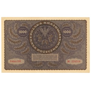 Seconda Repubblica Polacca, 1000 marchi polacchi 1919, Prima serie DR