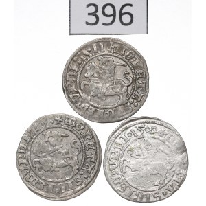 Sigismond Ier le Vieux, série des demi-groschen 1509-13, Vilnius
