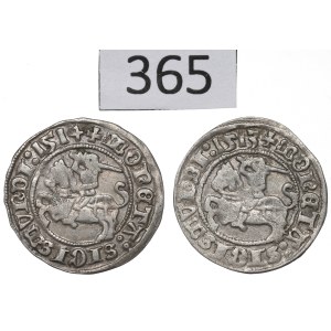Sigismund I the Old, Lot of halfgroat 1513-14, Vilnius