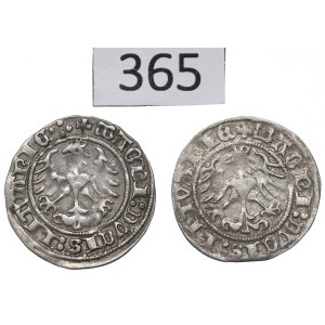 Sigismund I the Old, Lot of halfgroat 1513-14, Vilnius