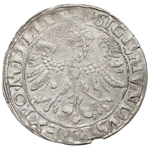Sigismund I the Old, Groschen 1535, Vilnius