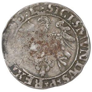 Sigismund I the Old, Groat 1535, Vilnius - L/LITV